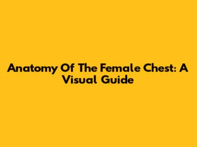 Anatomy Of The Female Chest: A Visual Guide
