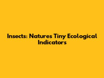 Insects: Nature's Tiny Ecological Indicators