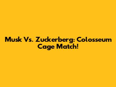 Musk Vs. Zuckerberg: Colosseum Cage Match!