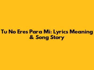 Tu No Eres Para Mi: Lyrics Meaning & Song Story